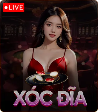 slider xóc đĩa